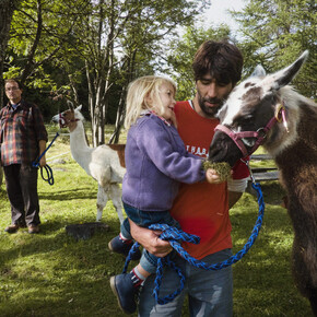 Cемейные праздники