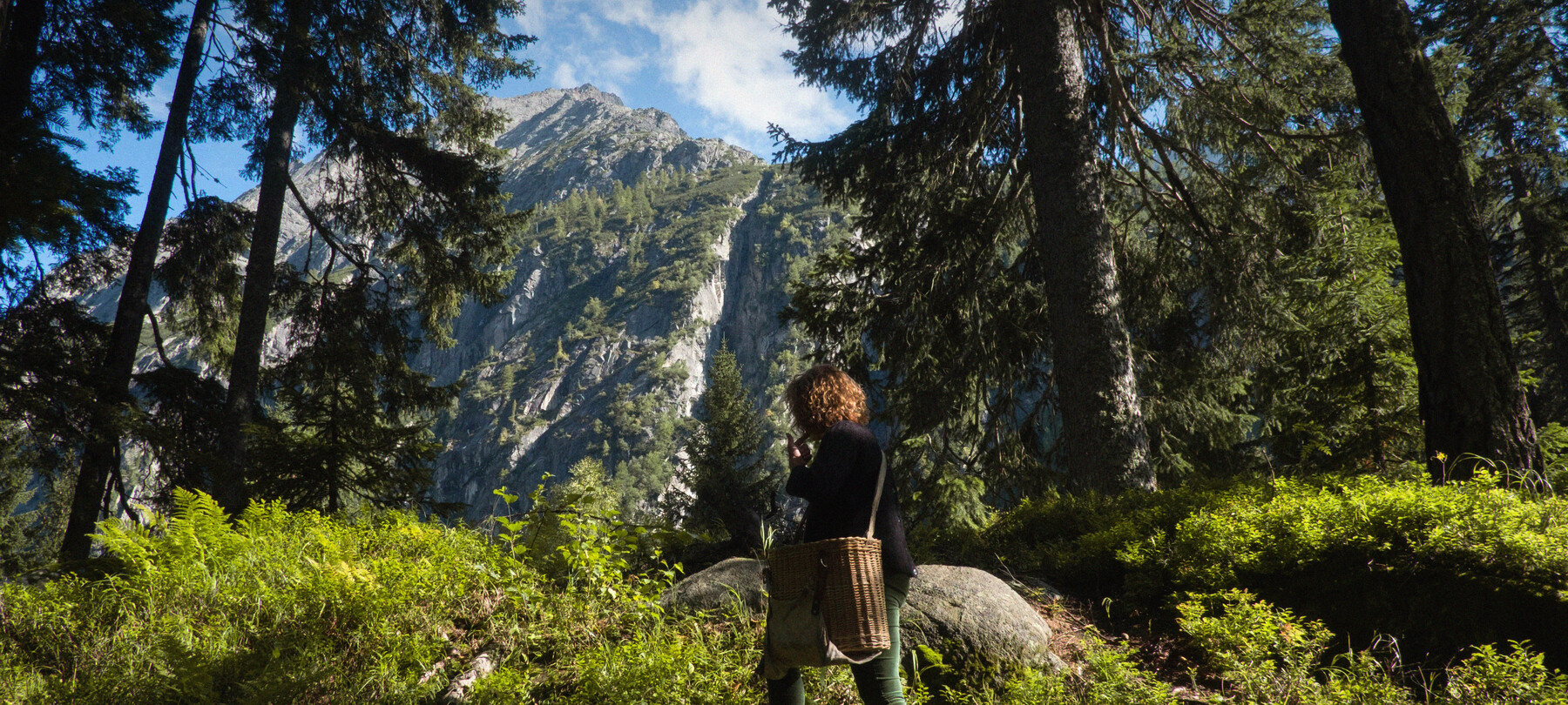 Madonna di Campiglio - Pinzolo - Val Rendena
