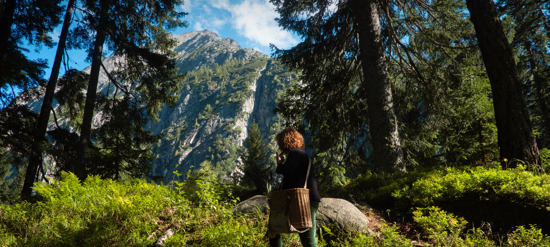 Madonna di Campiglio - Pinzolo - Rendena Valley