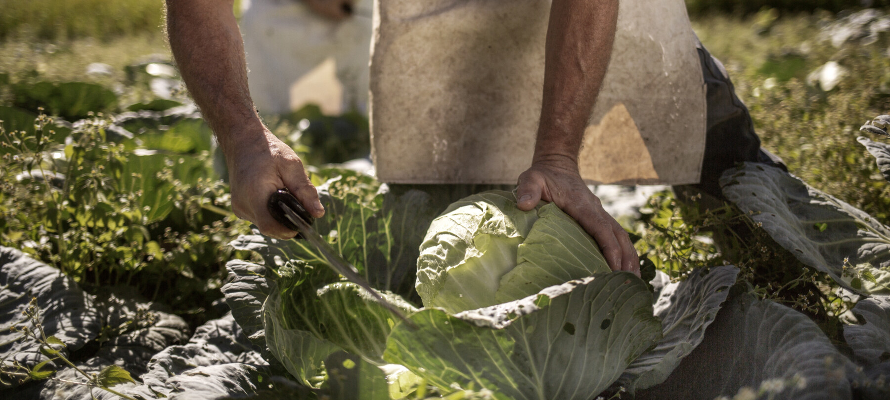 Genuss - Produkte des Trentino