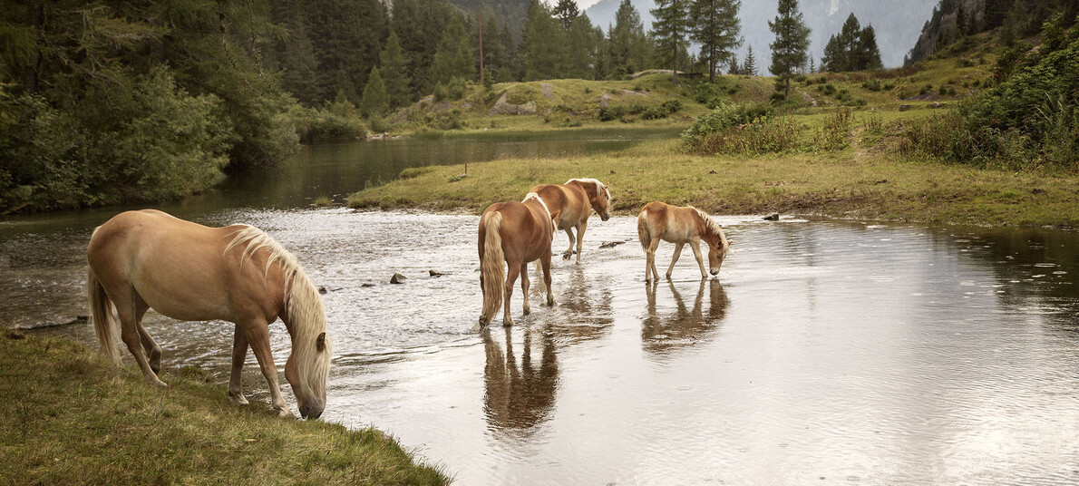 Wybrane trasy trekkingowe w Trentino