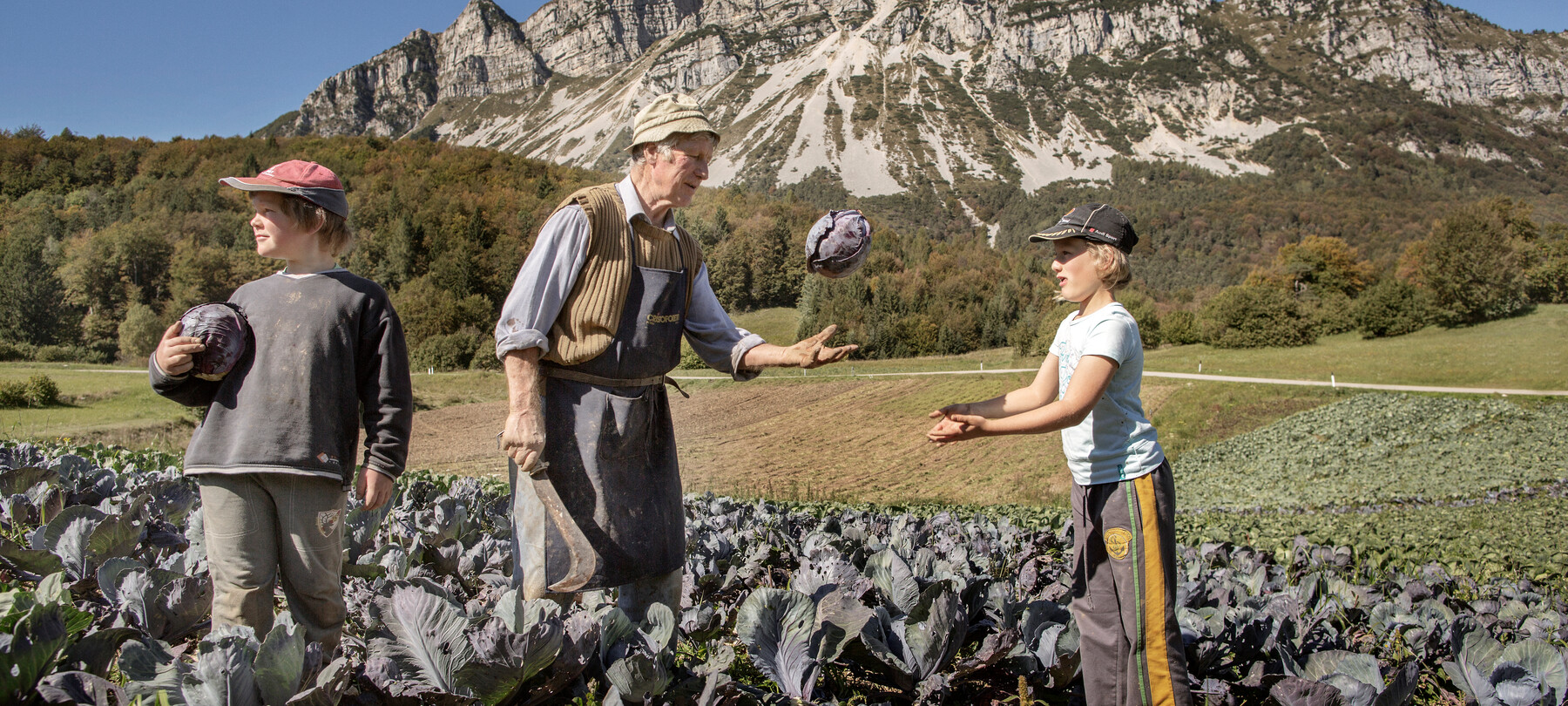 Farmers’ Markets in Trentino