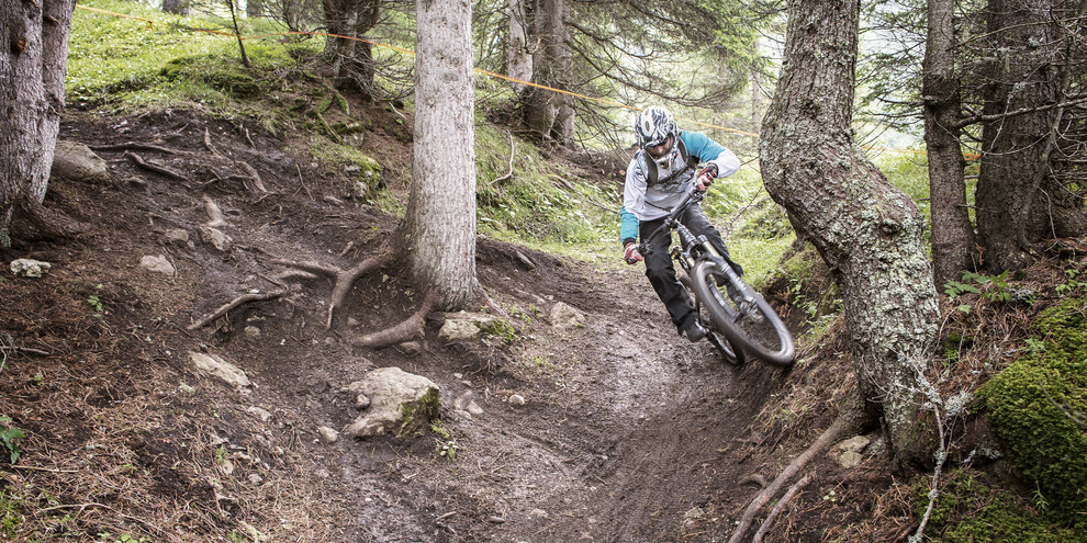 Val di Fassa - Bike park - Downhill