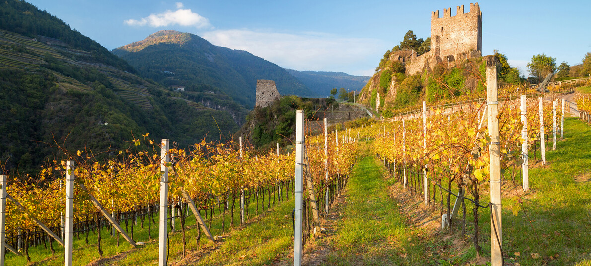 Cosa fare in Trentino in autunno