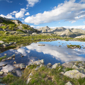 Natural Parks