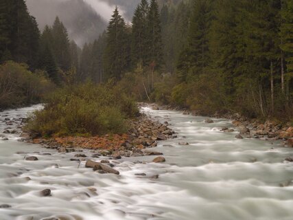 Torrente in Val di Genova