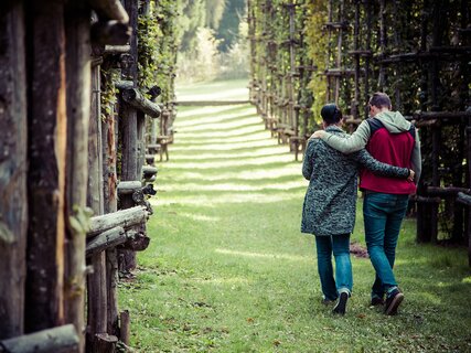 Valsugana - Val di Sella - Arte Sella 