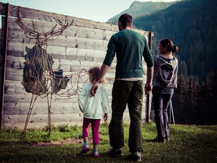 Val di Fiemme - Paneveggio - Parco Paneveggio Pale di San Martino