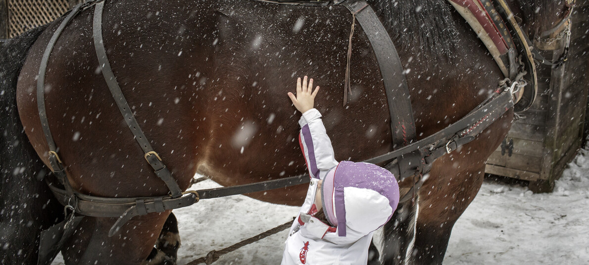 Ben jij geen wintersporter maar je houdt wel van sneeuw? 