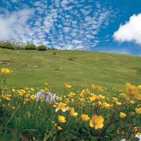 Reservatnetz - Bondone