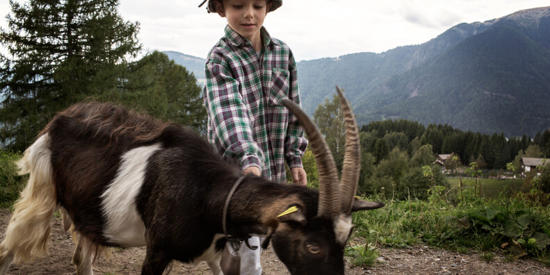 Valle dei Mocheni - Fierozzo - Bambino con capra mochena
