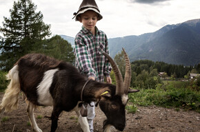 Valle dei Mocheni - Fierozzo - Bambino con capra mochena
