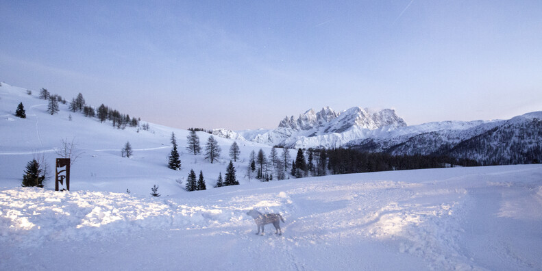Passo San Pellegrino #5