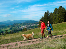 Wo ist Cavalese Italien - Val di Fiemme - Italienische Alpen - Urlaub mit Hund in Italien