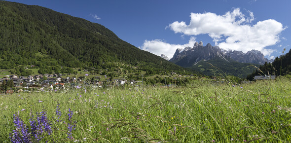 Valli del Primiero - Mezzano