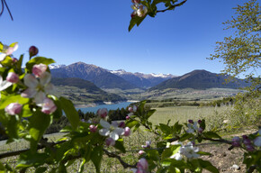 Val di Non - Panorama su Cles