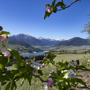 Val di Non - Panorama su Cles