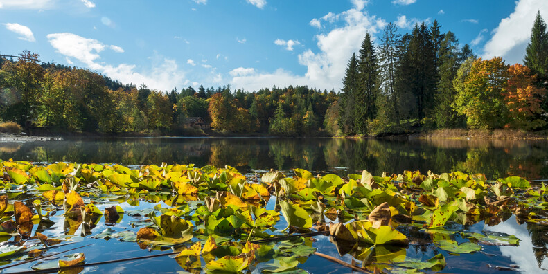 Seen und Herbstspaziergänge im Trentino