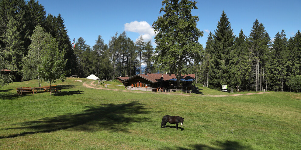 W kierunku schroniska Potzmauer z przewodnikiem alpejskim