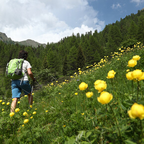 Valle dei Mocheni - Palu del Fersina -  Alta Val Del Laner - Rifugio Sette Selle