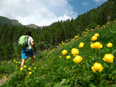 Valle dei Mocheni - Palu del Fersina -  Alta Val Del Laner - Rifugio Sette Selle