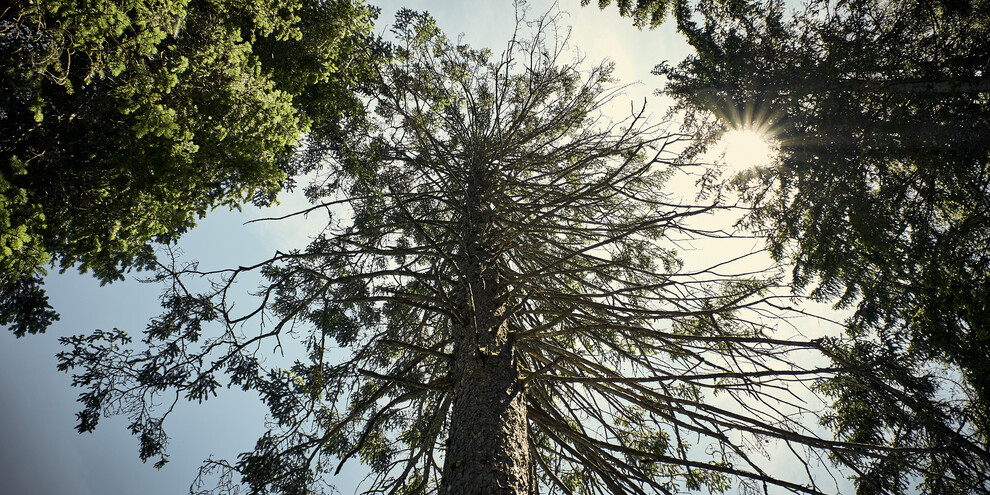 Visit the Red Lake Park House