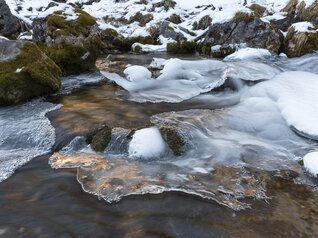 Campiglio - Vallesinella - Torrente