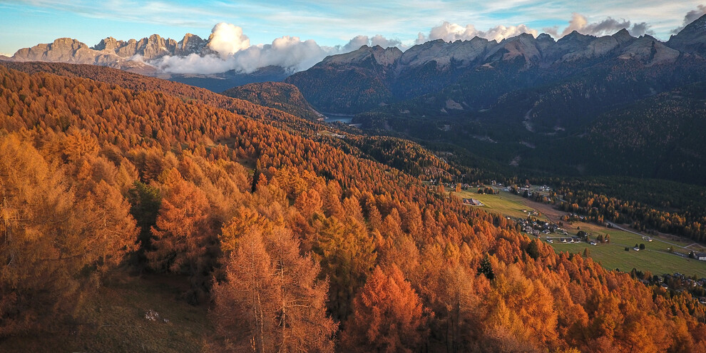 Wyjątkowy smak produkty z Val di Fiemme