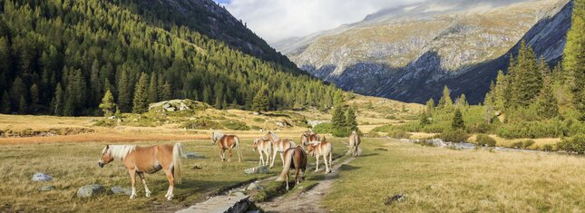 Валли-Джудикарие и Валле-дель-Кьезе