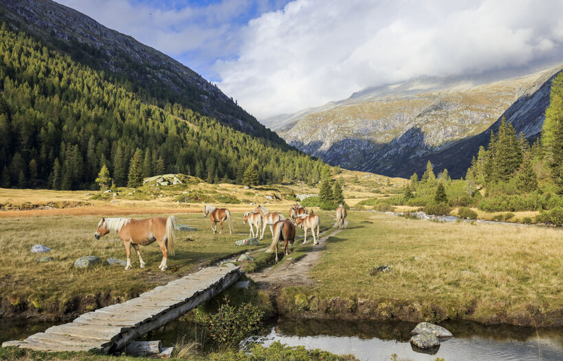 Naturpark Adamello Brenta