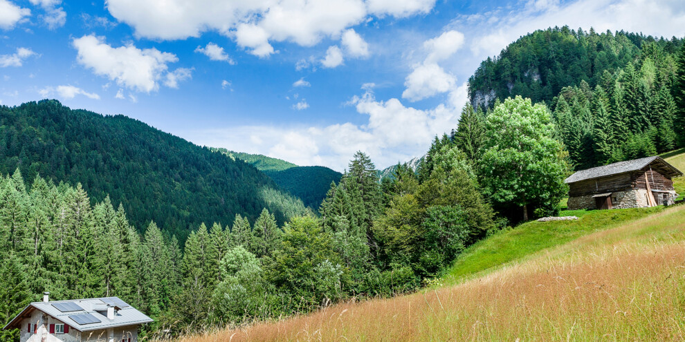 Szlak Gigantycznych Drzew - San Martino di Castrozza, Primiero, Vanoi