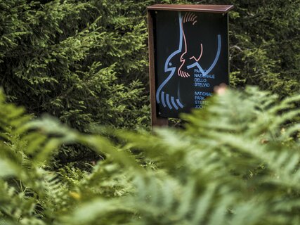 Val di Rabbi - Malga Caldesa Bassa