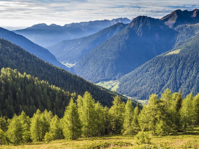 Val di Rabbi - Malga Caldesa Bassa