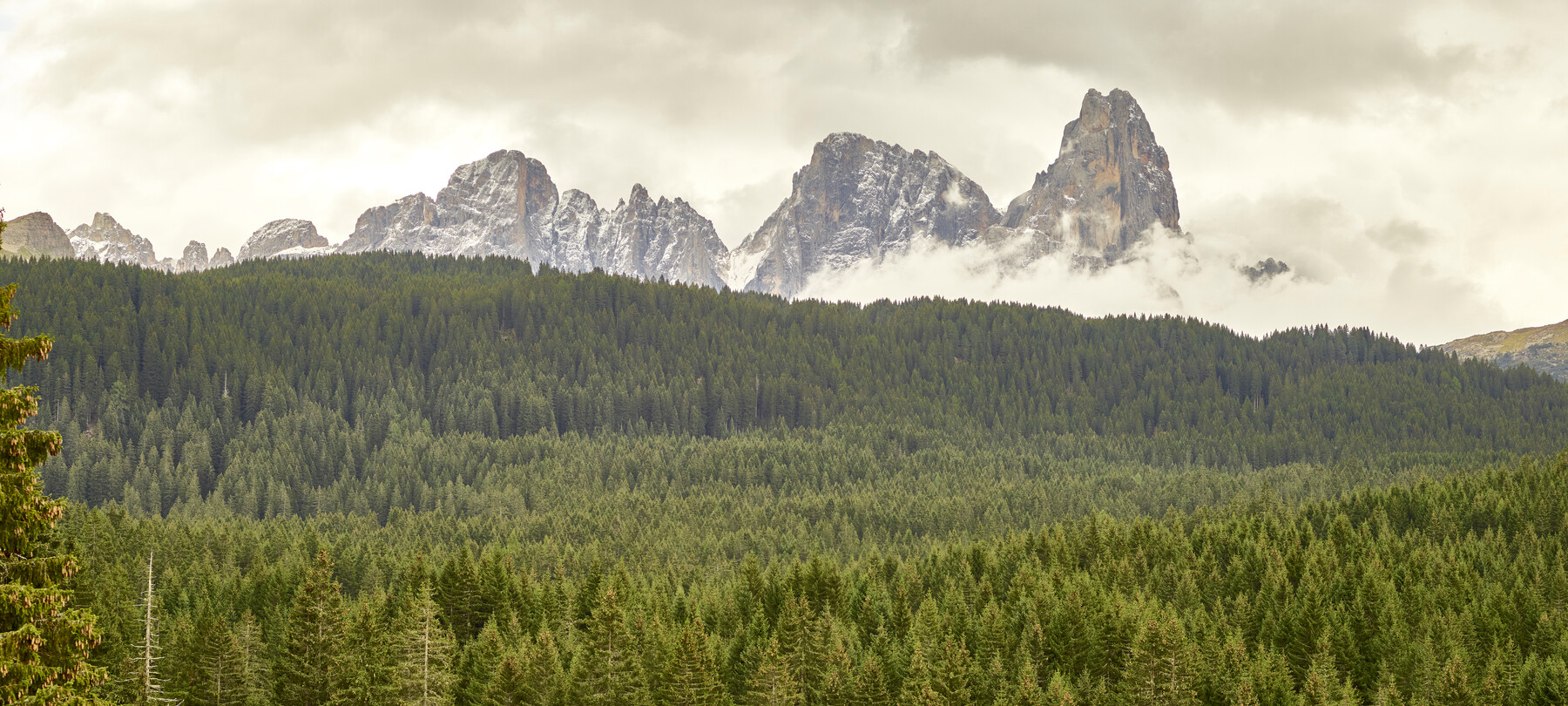 Val di Fiemme - Paneveggio - Panorama
