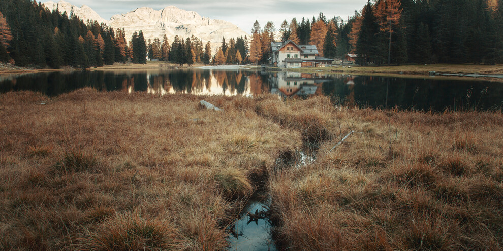 Букет предложений