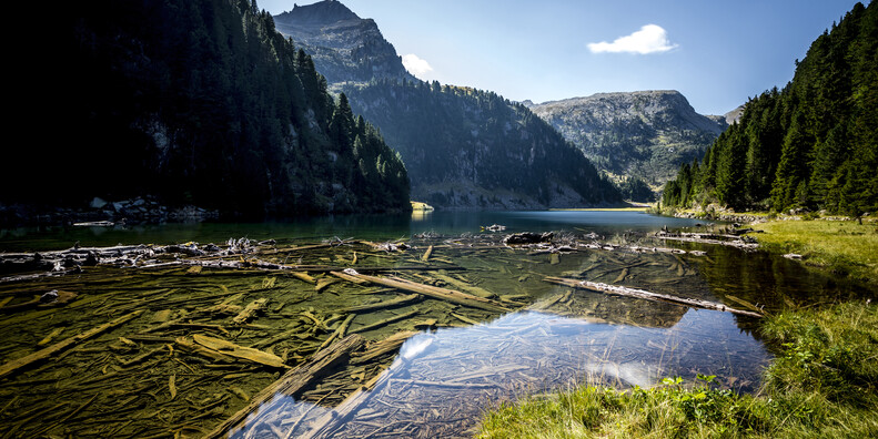 Lago Lagorai #2