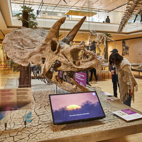 Valle dell'Adige - Trento - Muse