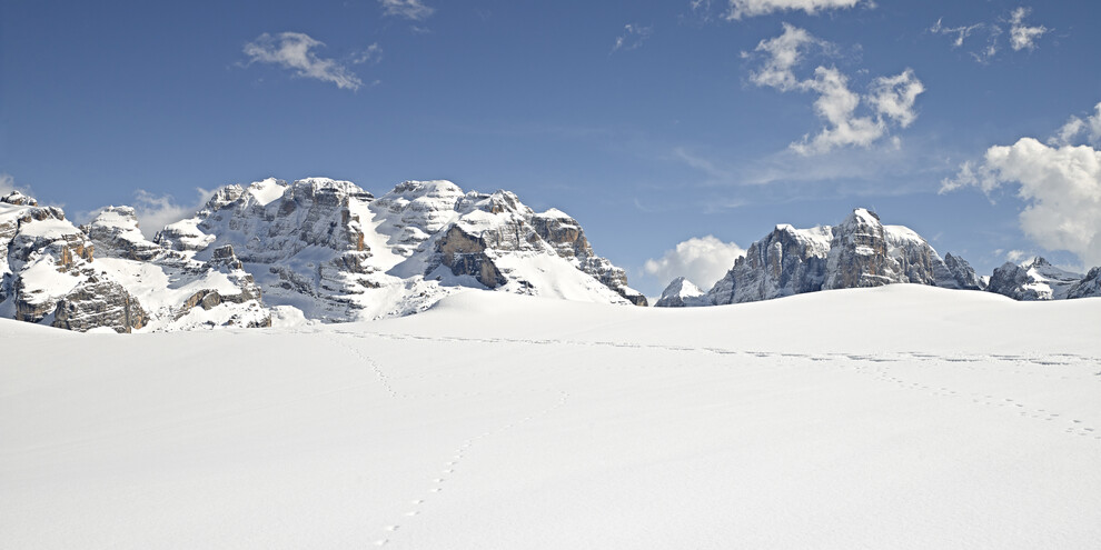 Gibt es in den Dolomiten im Winter Blumen?