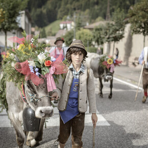 Val di Fiemme - Desmontegada