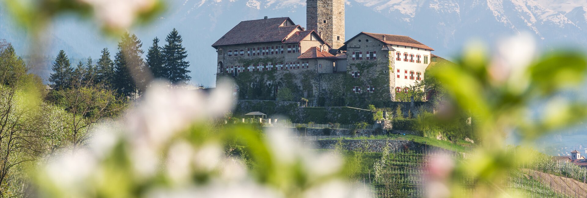 Val di Non - Castel Valer - Meleti in fiore
