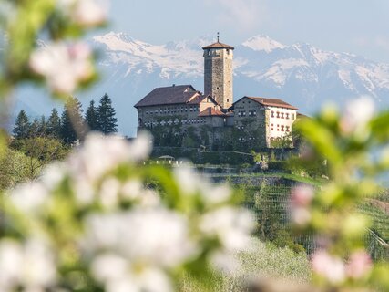 Val di Non - Castel Valer - Meleti in fiore