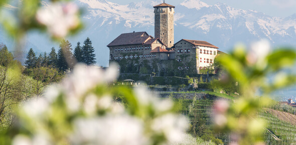 Val di Non - Castel Valer - Meleti in fiore
