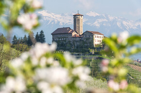 Val di Non - Castel Valer - Meleti in fiore