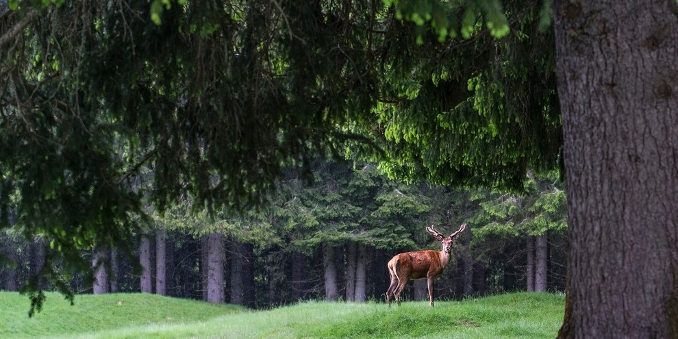 Nature park sleepover