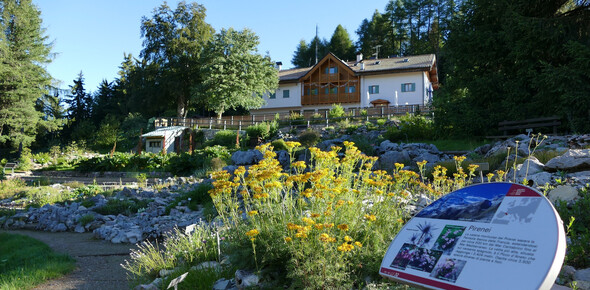Valle dell'Adige - Monte Bondone - Rifugio Viote e giardino botanico