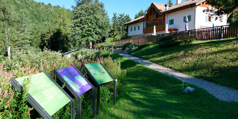 Botanischer Alpengarten, Viote del Monte Bondone