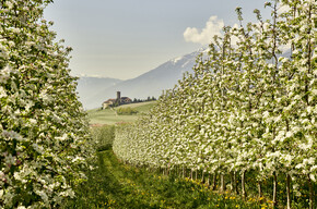 Val di Non - Meleti - Castel Valer