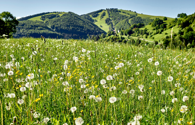 Vallagarina - Monte Baldo - San Valentino
