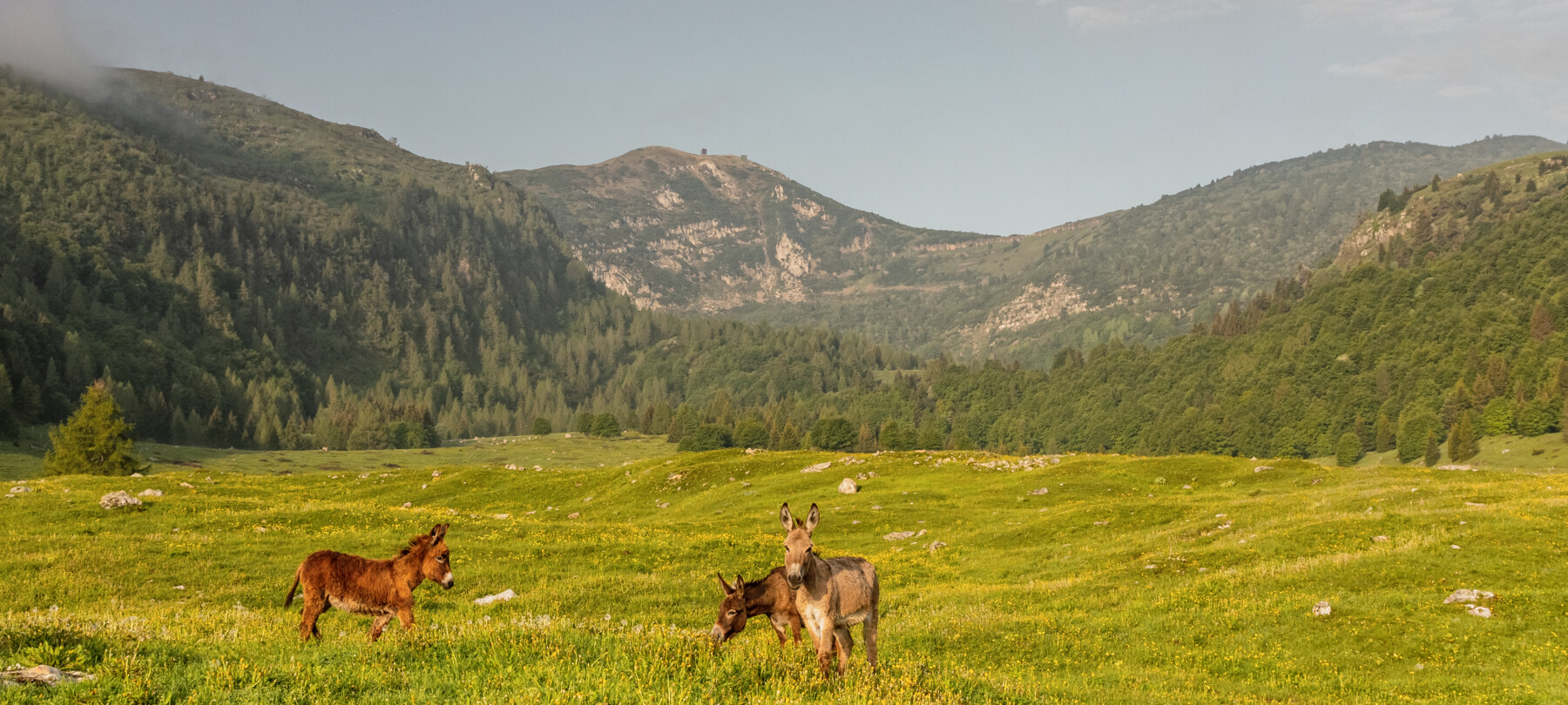 Vallagarina - Monte Baldo