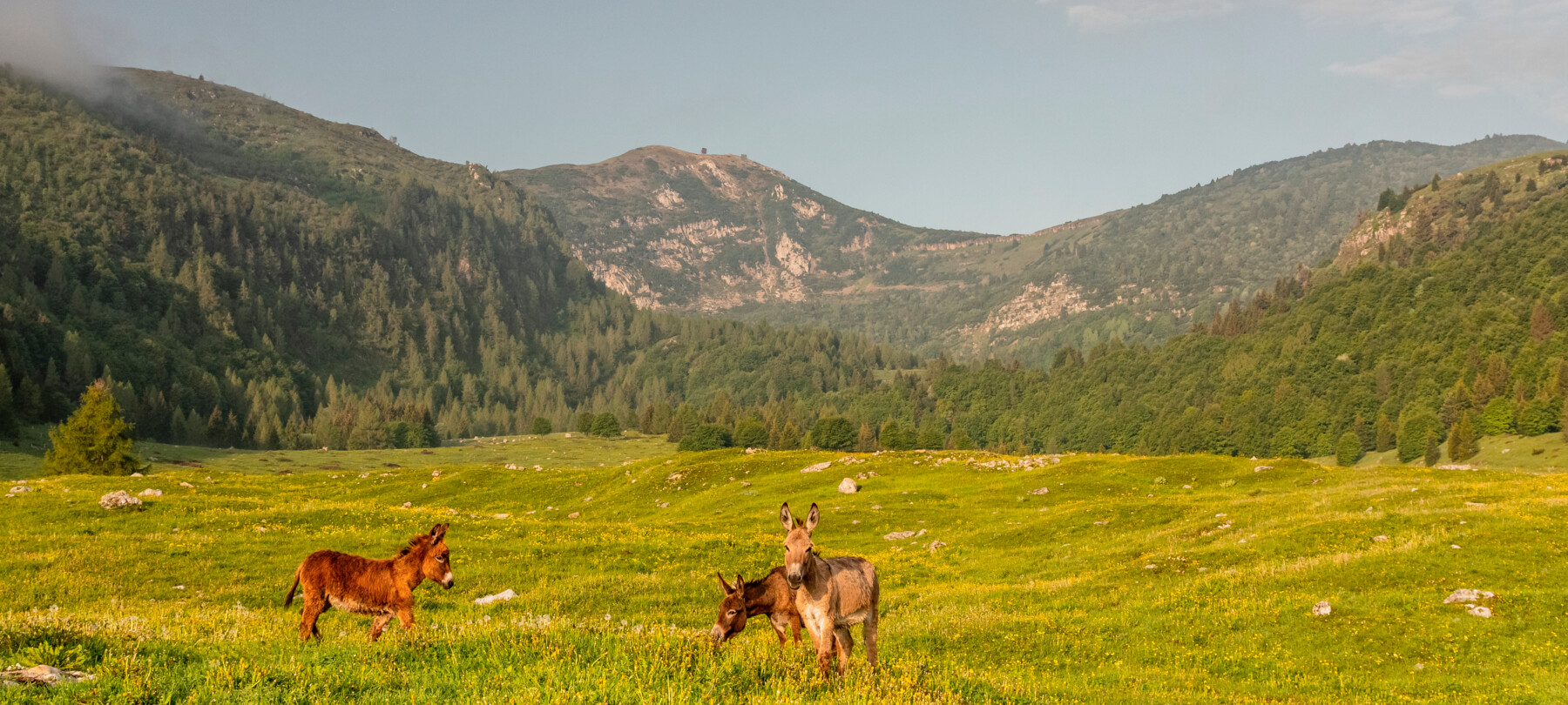 Vallagarina - Monte Baldo
